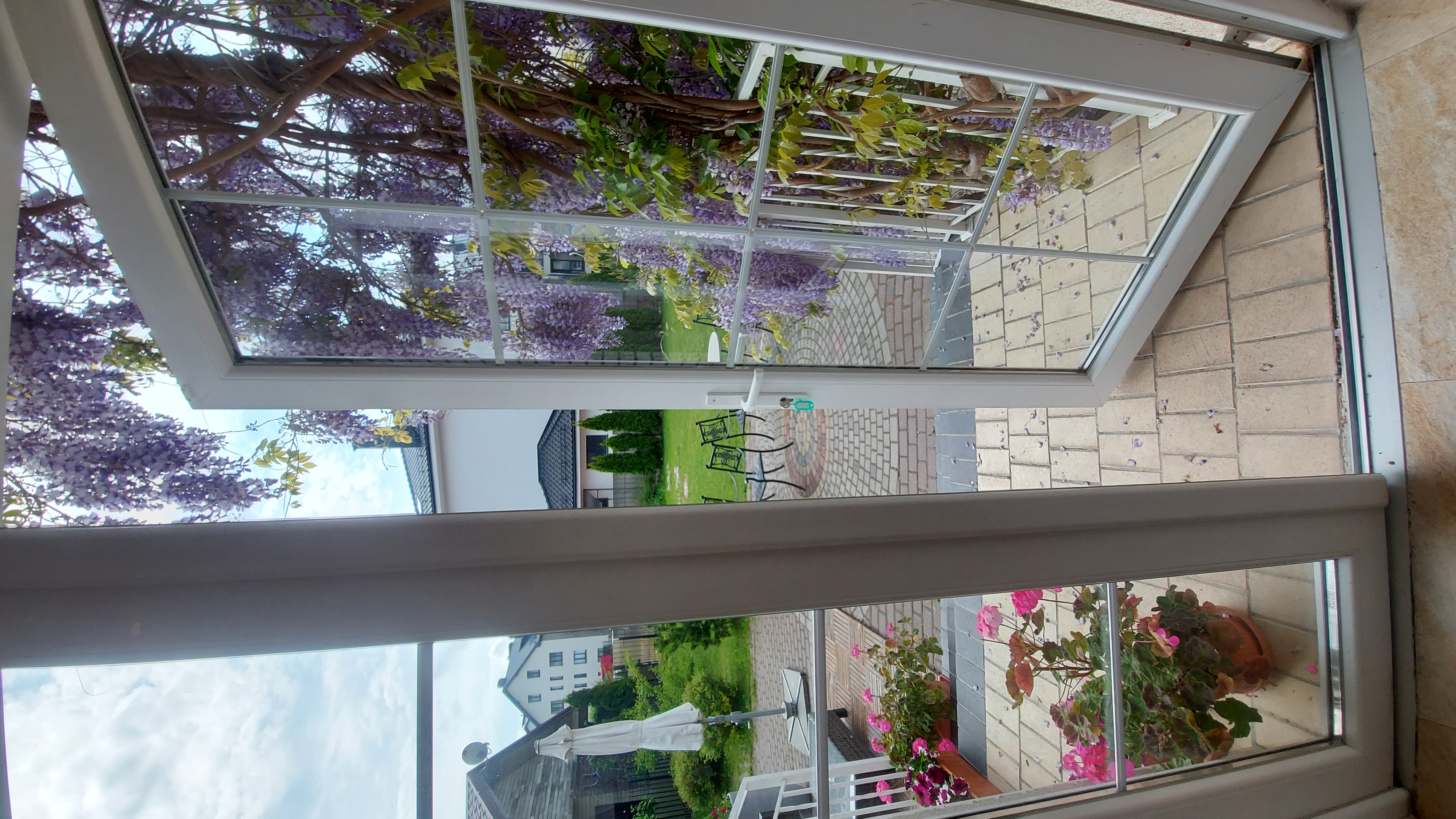 Фото Янтарный сезон