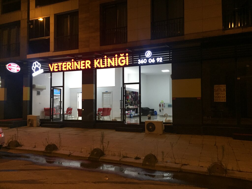 Veteriner klinikleri İnanoğlu Veteriner Kliniği, Eyüpsultan, foto