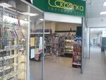 Skrepka (Pavlovsky Highway, 287), stationery store