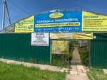 Саженцы от Николаевича (derevnya Nazimikha, 81), centro de jardinería