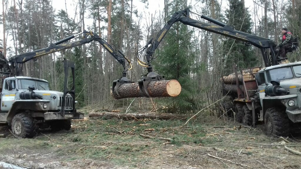 Woodworking enterprise ГМЗ-КОМ, Zlynka, photo