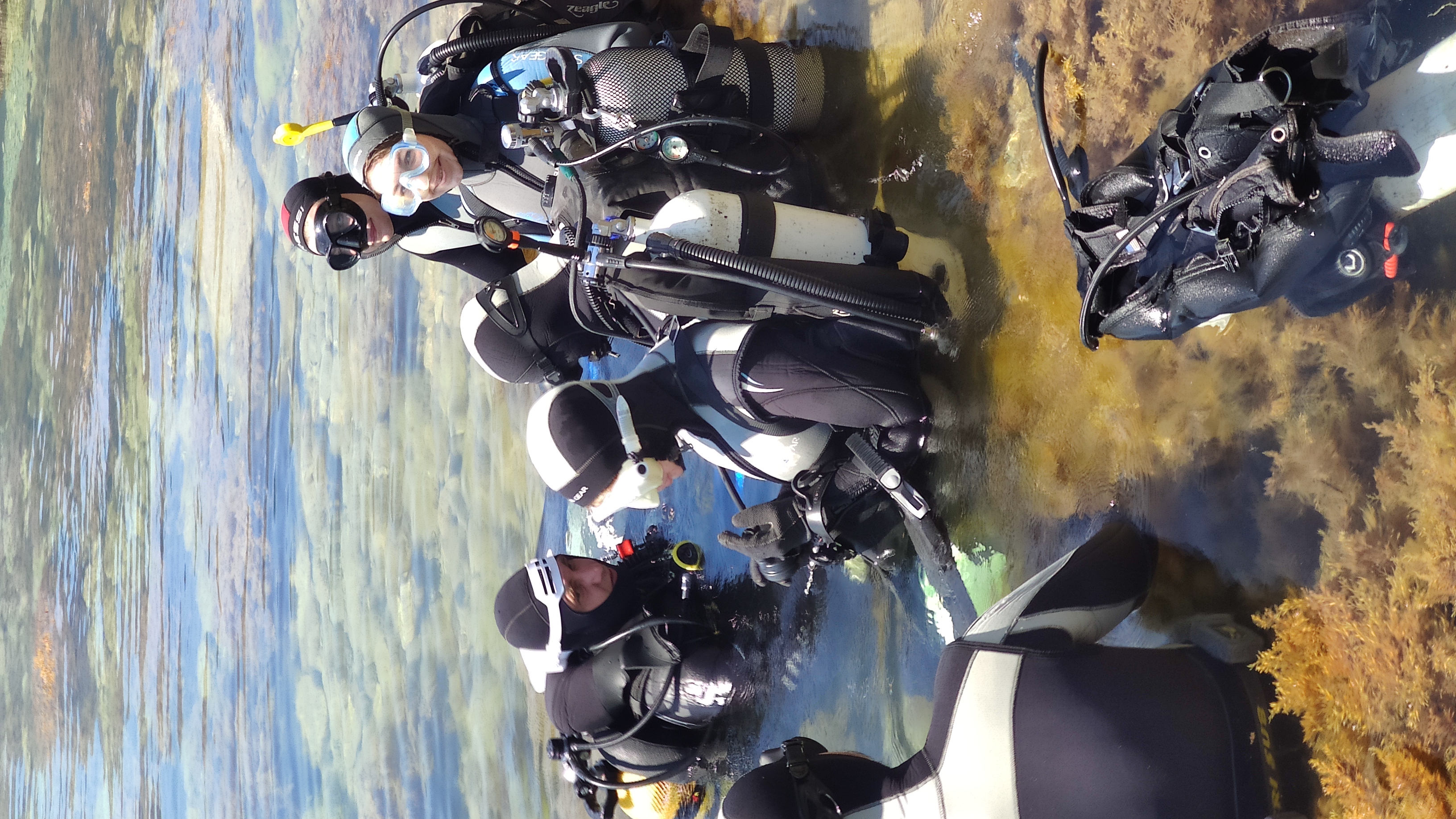 Фото Резиденция лета