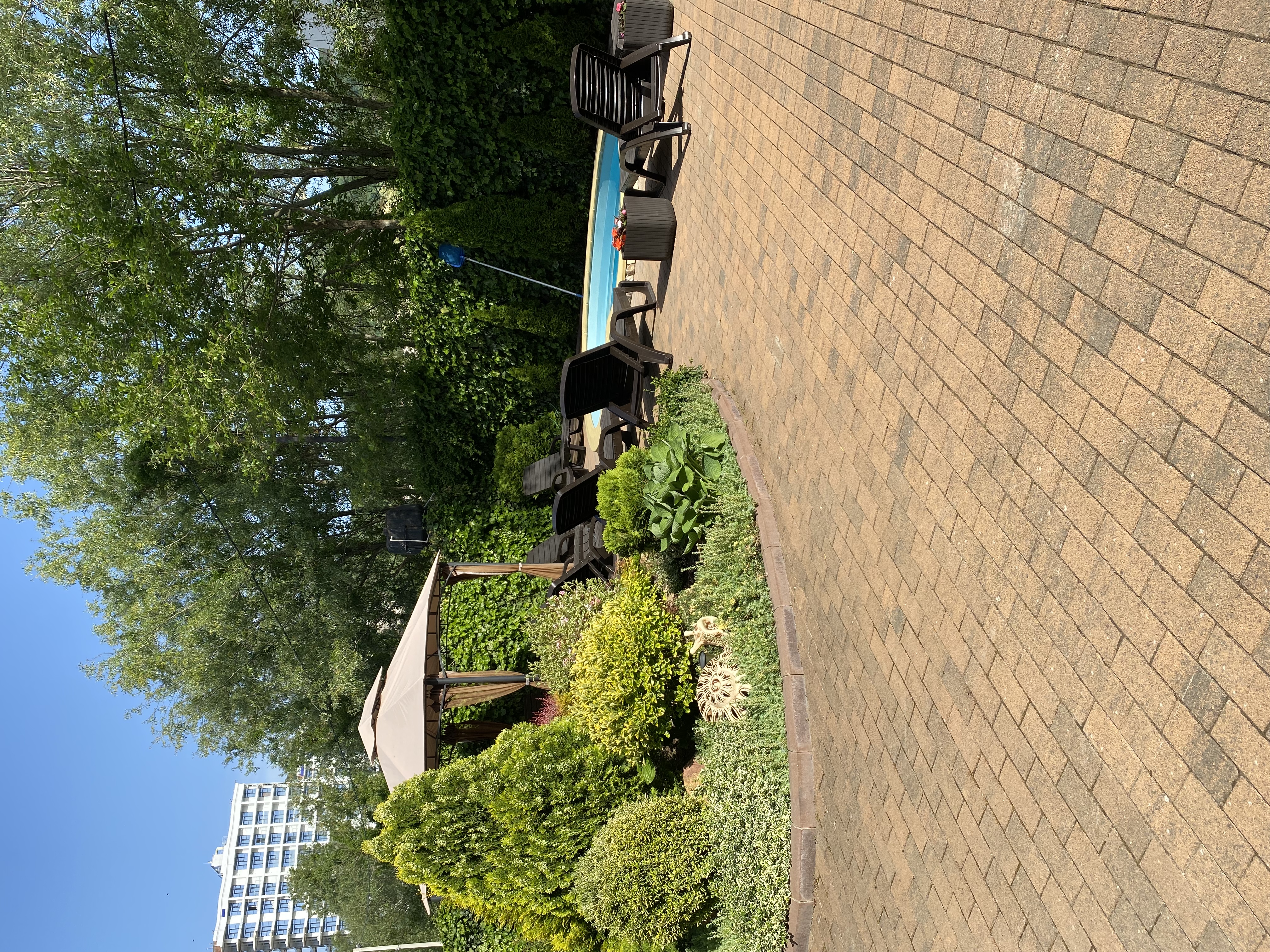 Фото Вероника