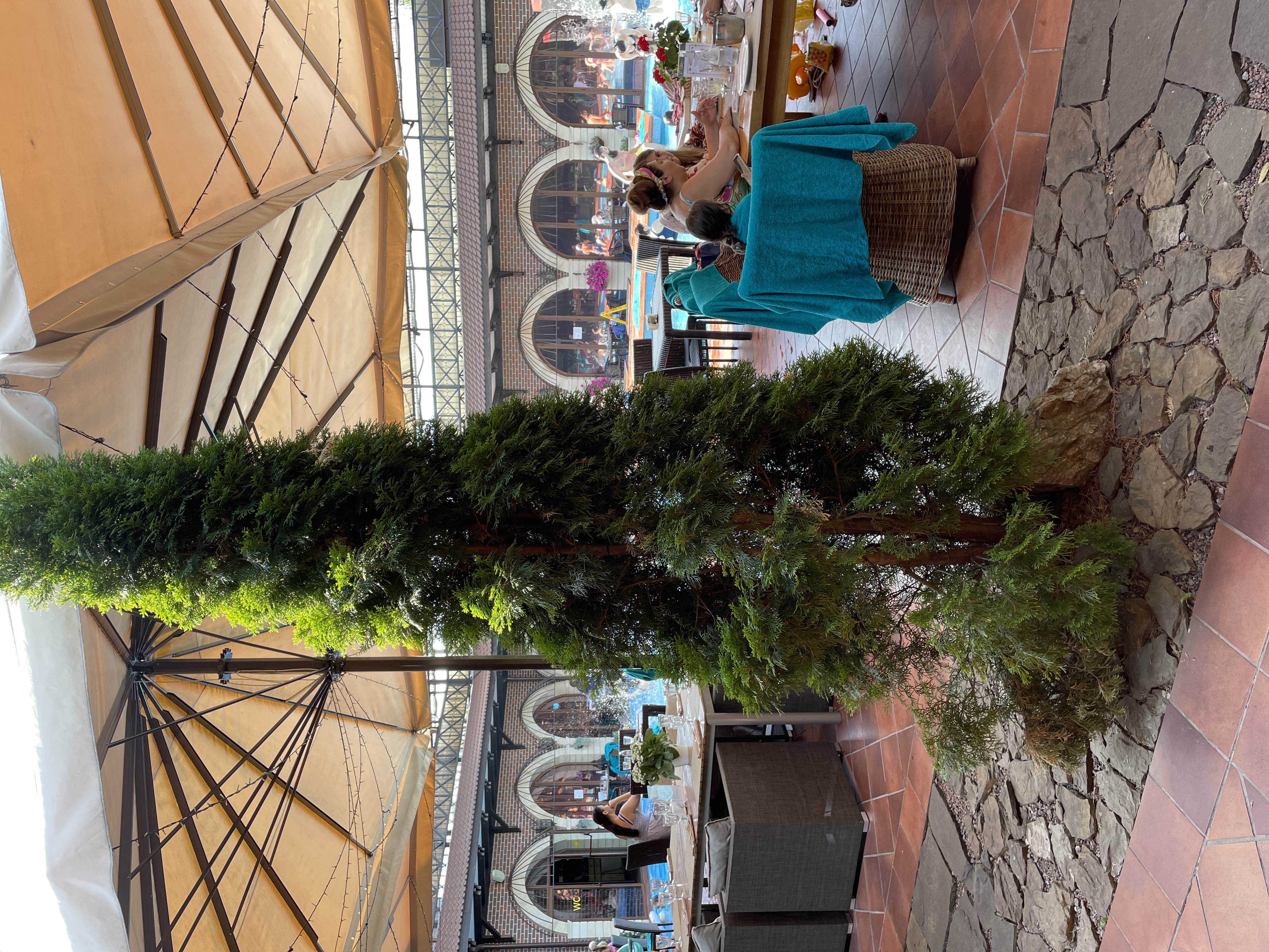 Фото Птицы и пчелы