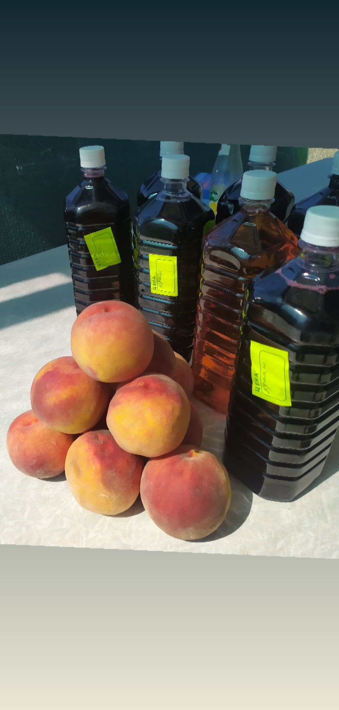 Фото ТеремЛенд