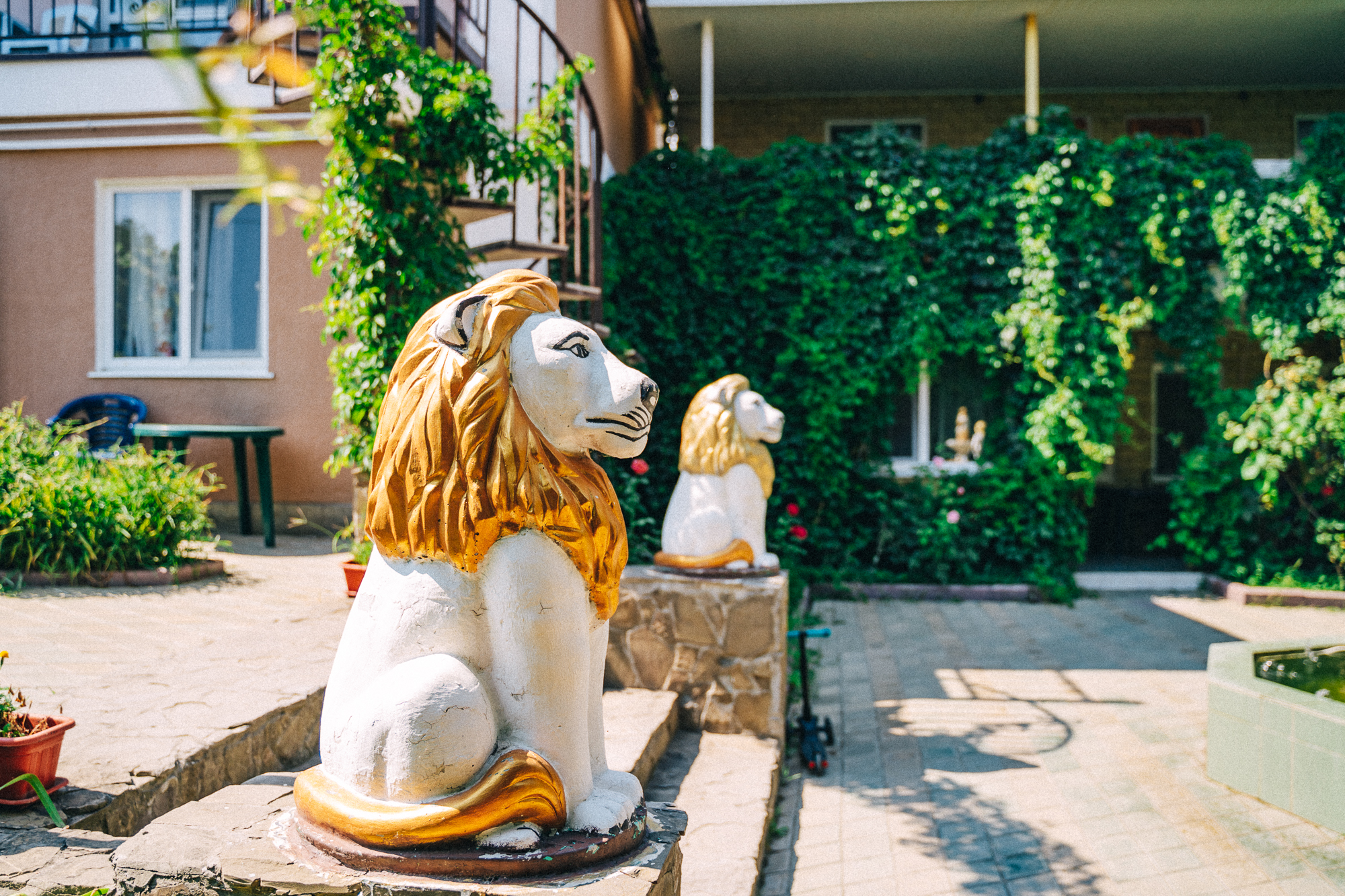 Фото Гостевой дом Lion