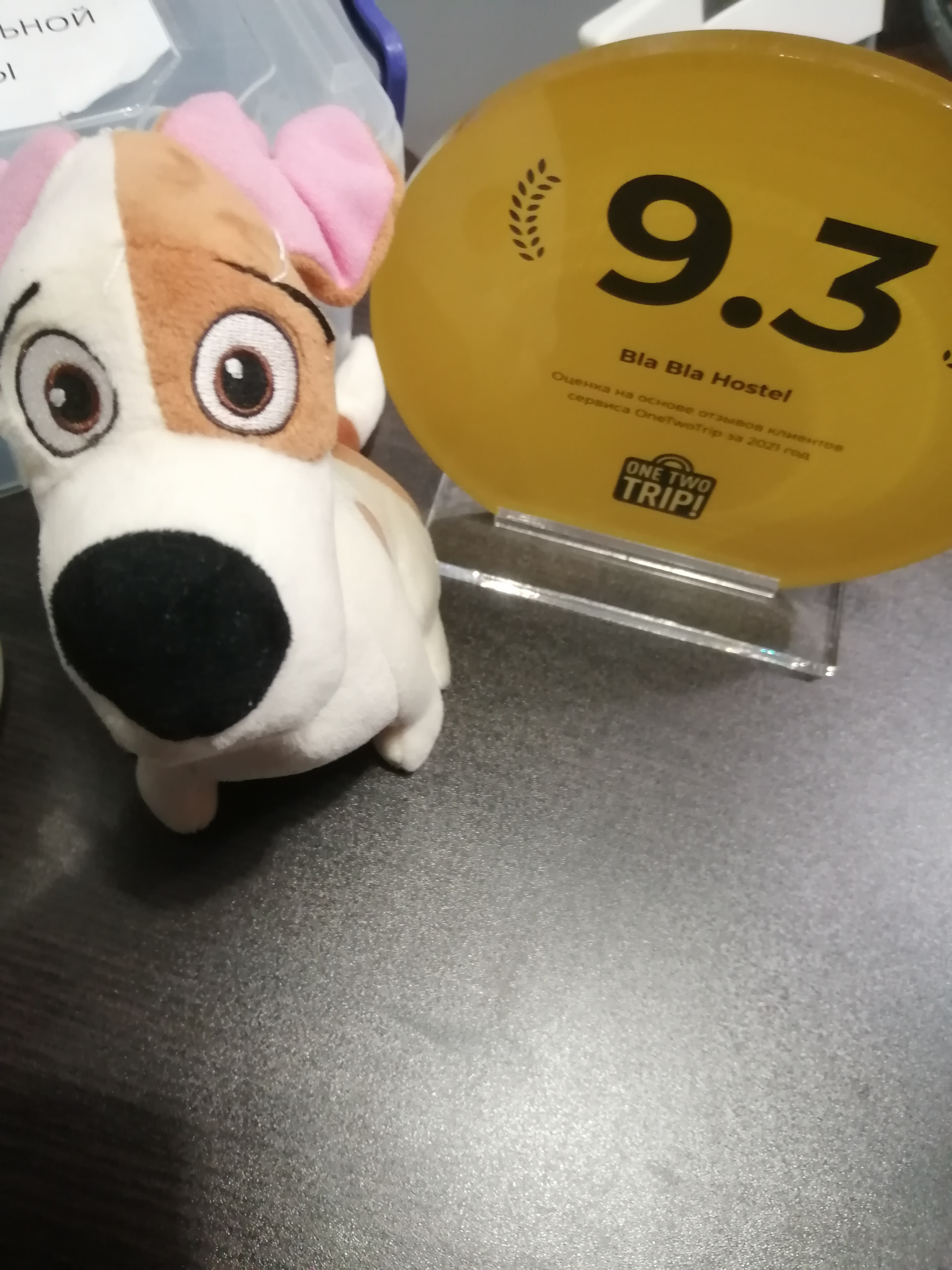 Фото Bla Bla Hostel