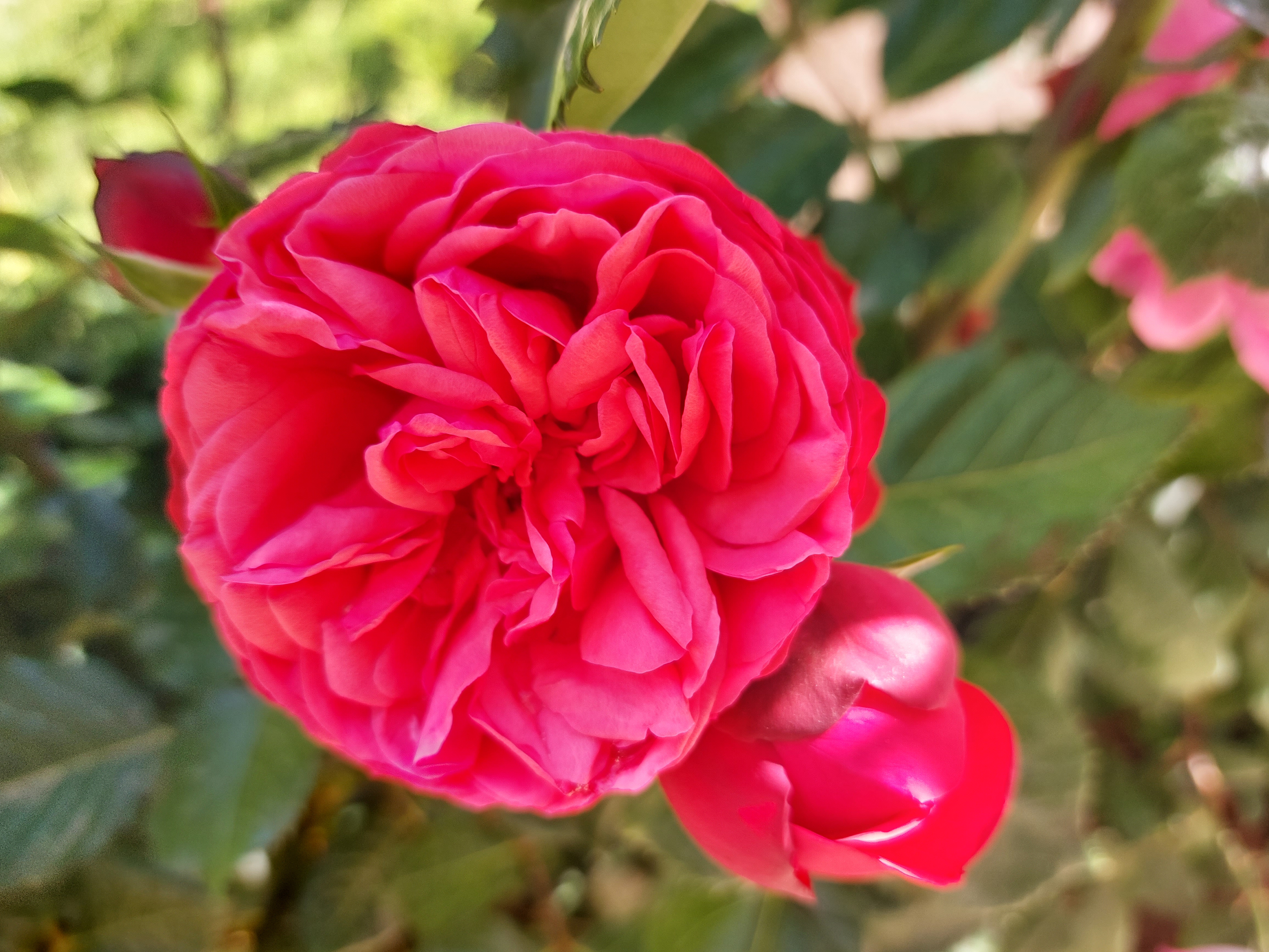 Фото Аквилон