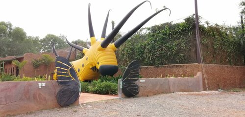 Zoo Butterfly Paradise, Earth, photo