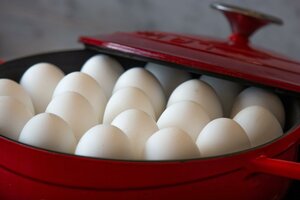 Гостиница Holiday Inn Bengaluru Racecourse, an Ihg Hotel