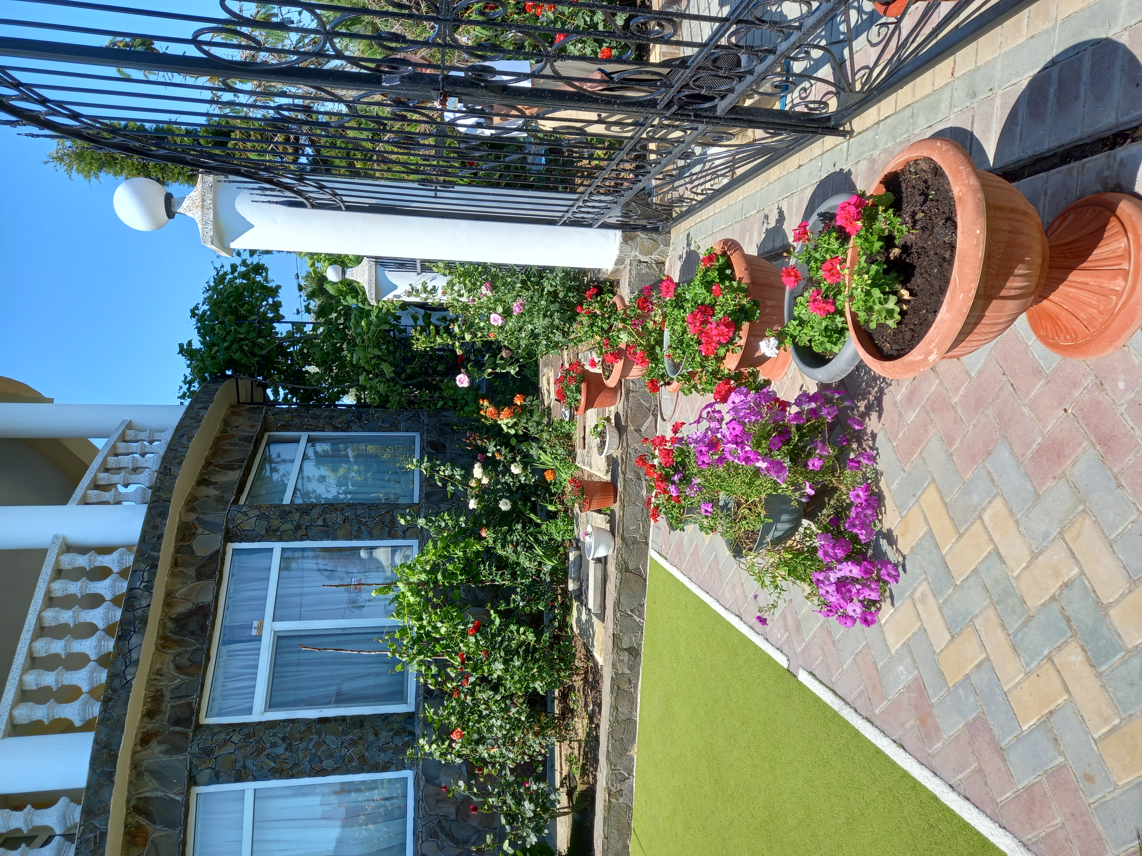 Фото Виренея