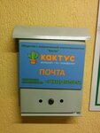 Кактус (Komendantskiy Avenue, 28к1), internet service provider
