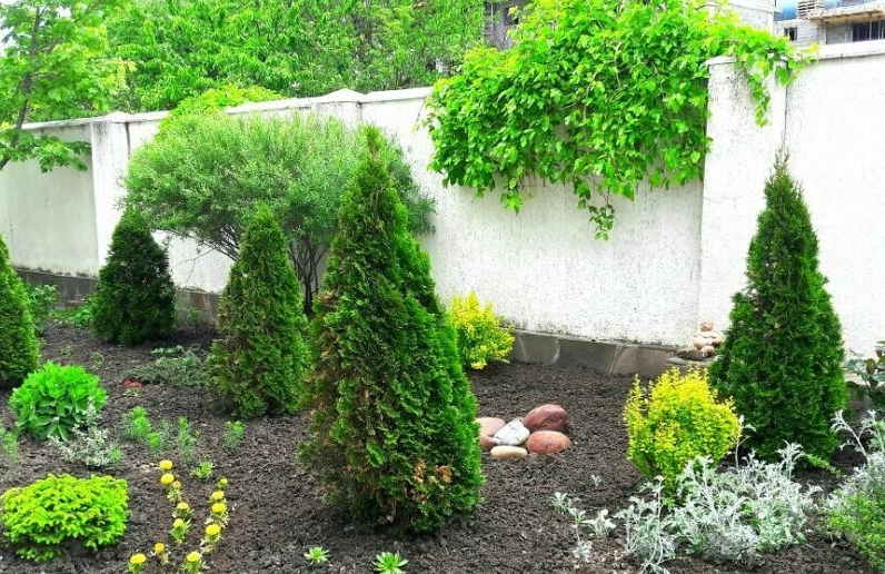 Фото Василина