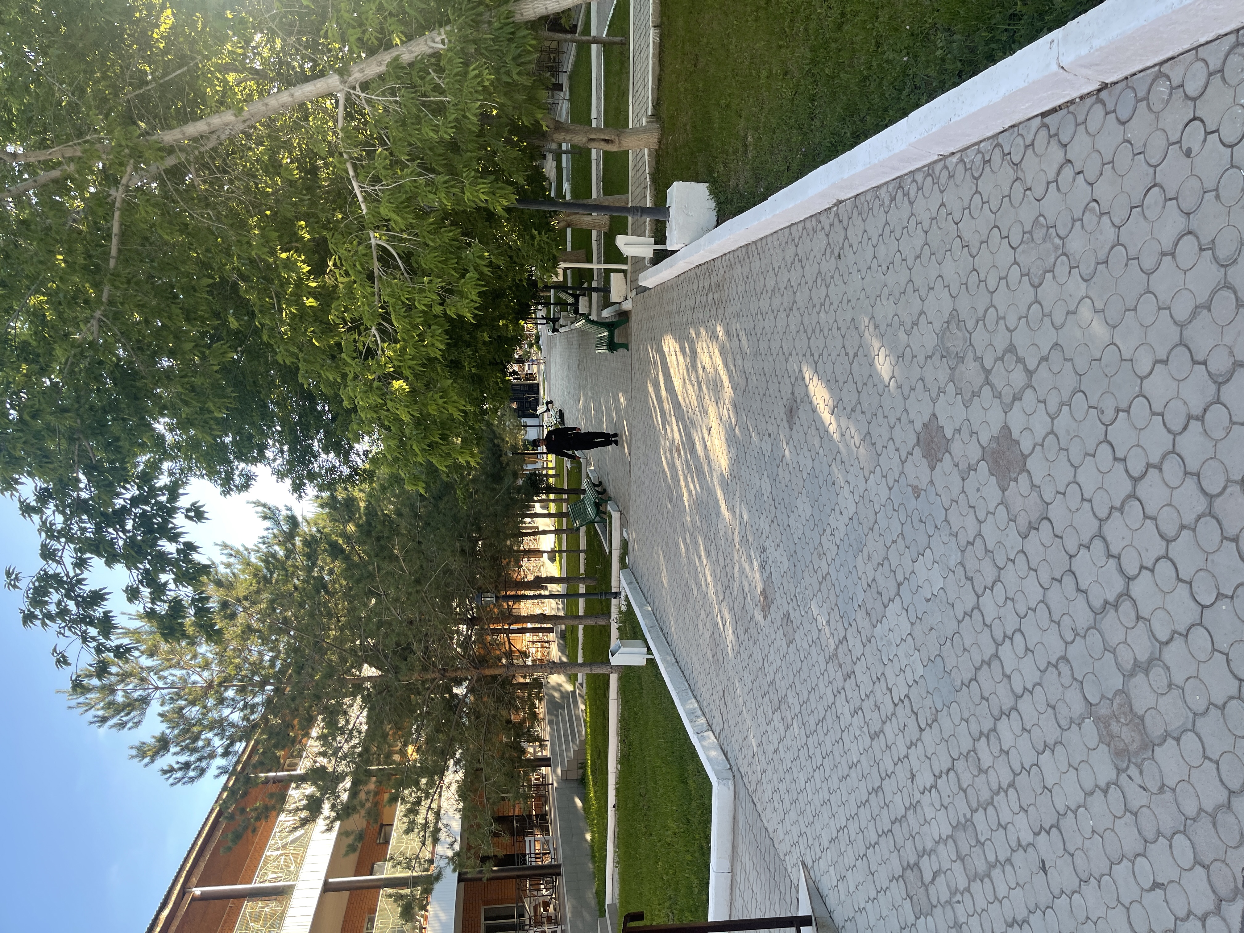 Фото Жемчужина