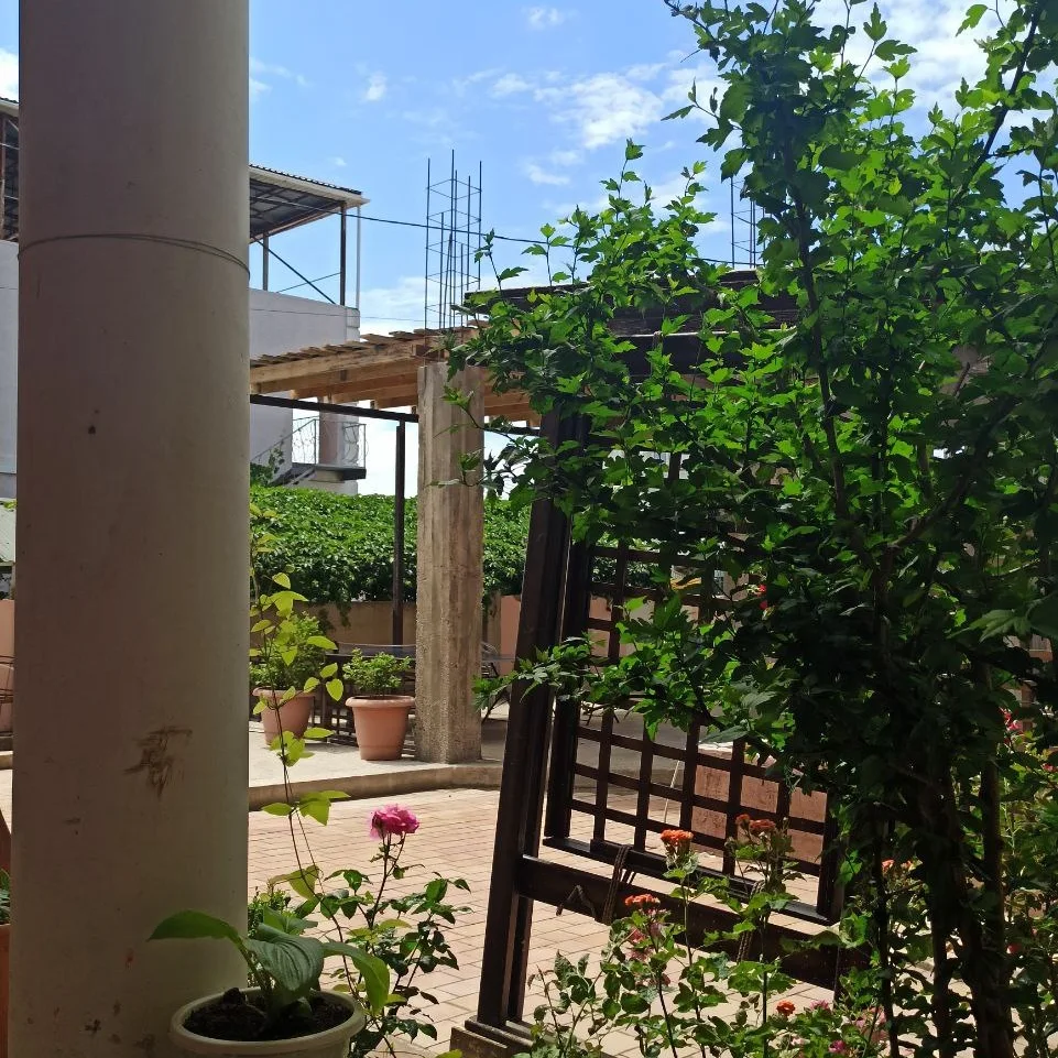 Фото Кëльнер Дом