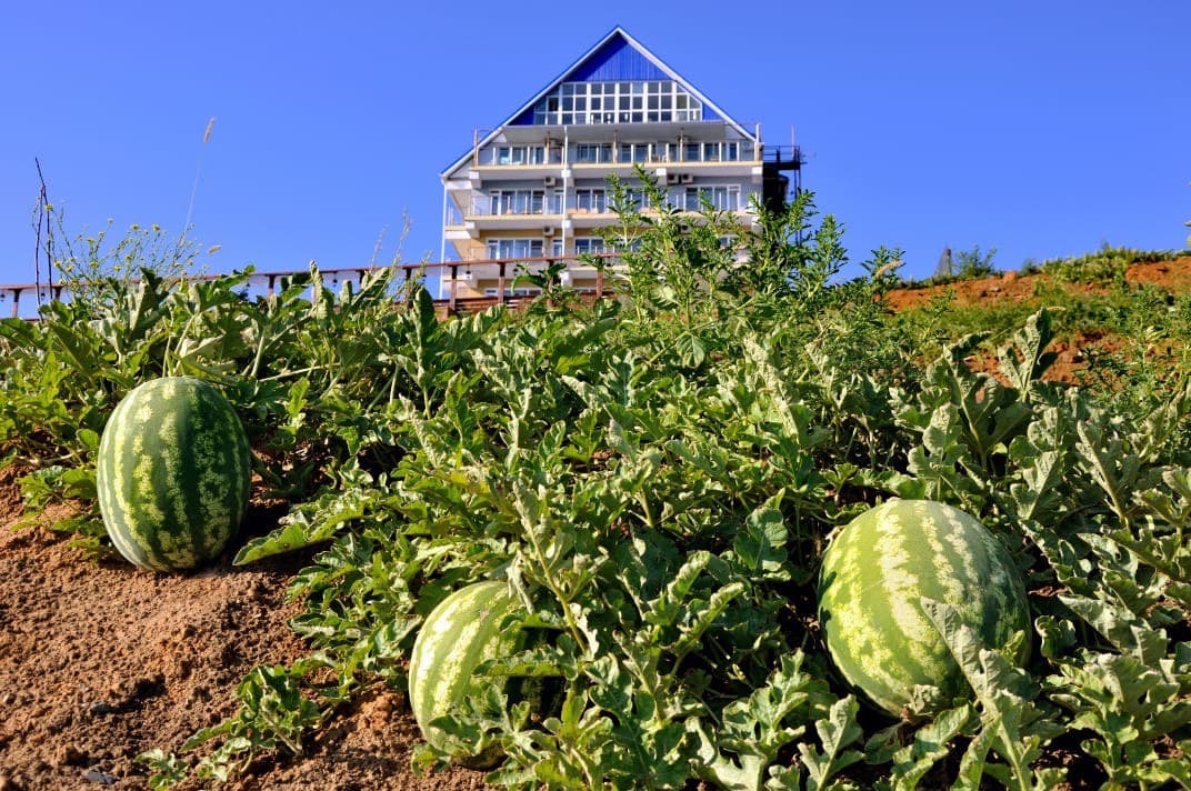 Фото Уют Тамани