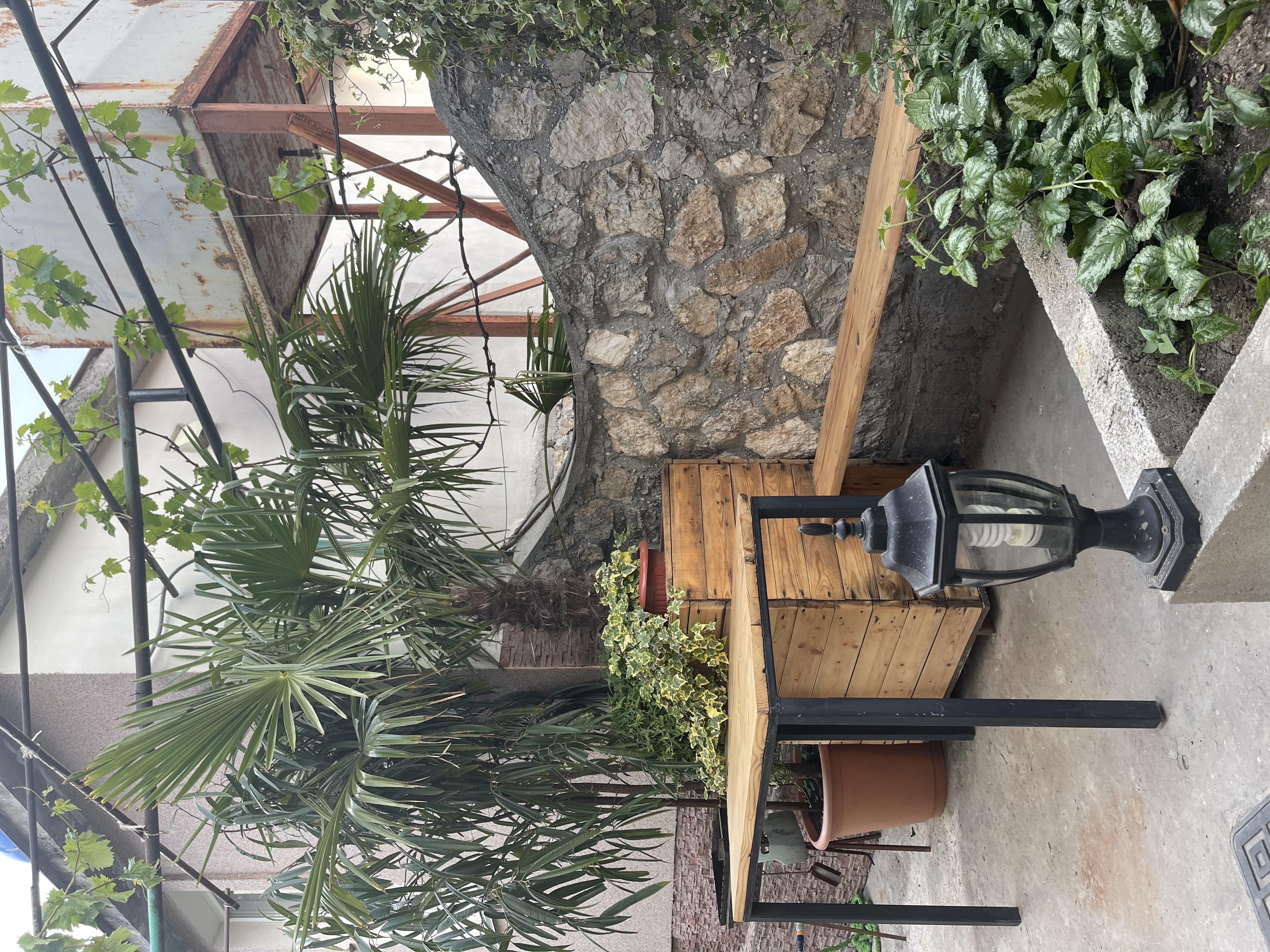 Фото У Барса