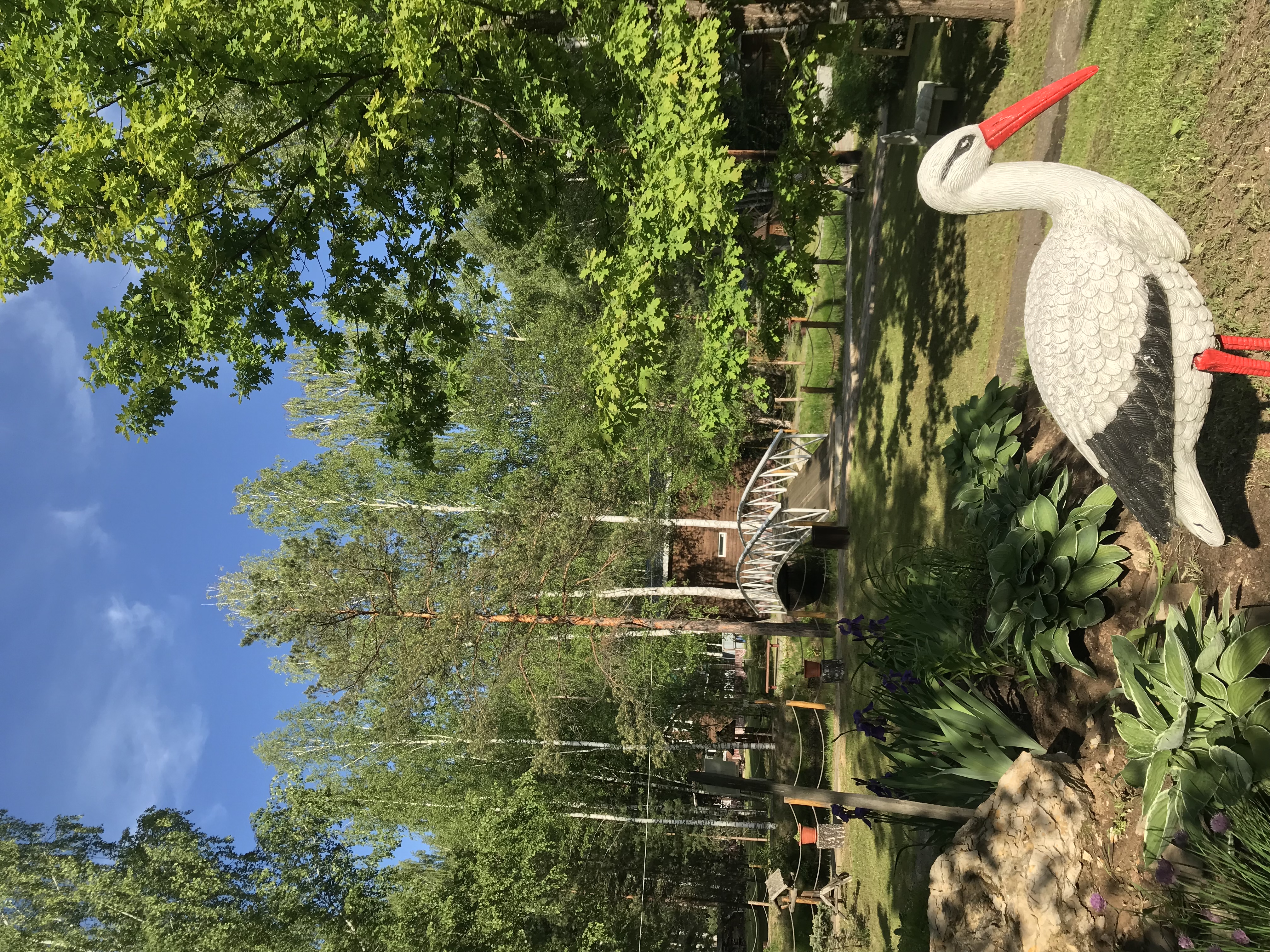 Фото На Ватоме