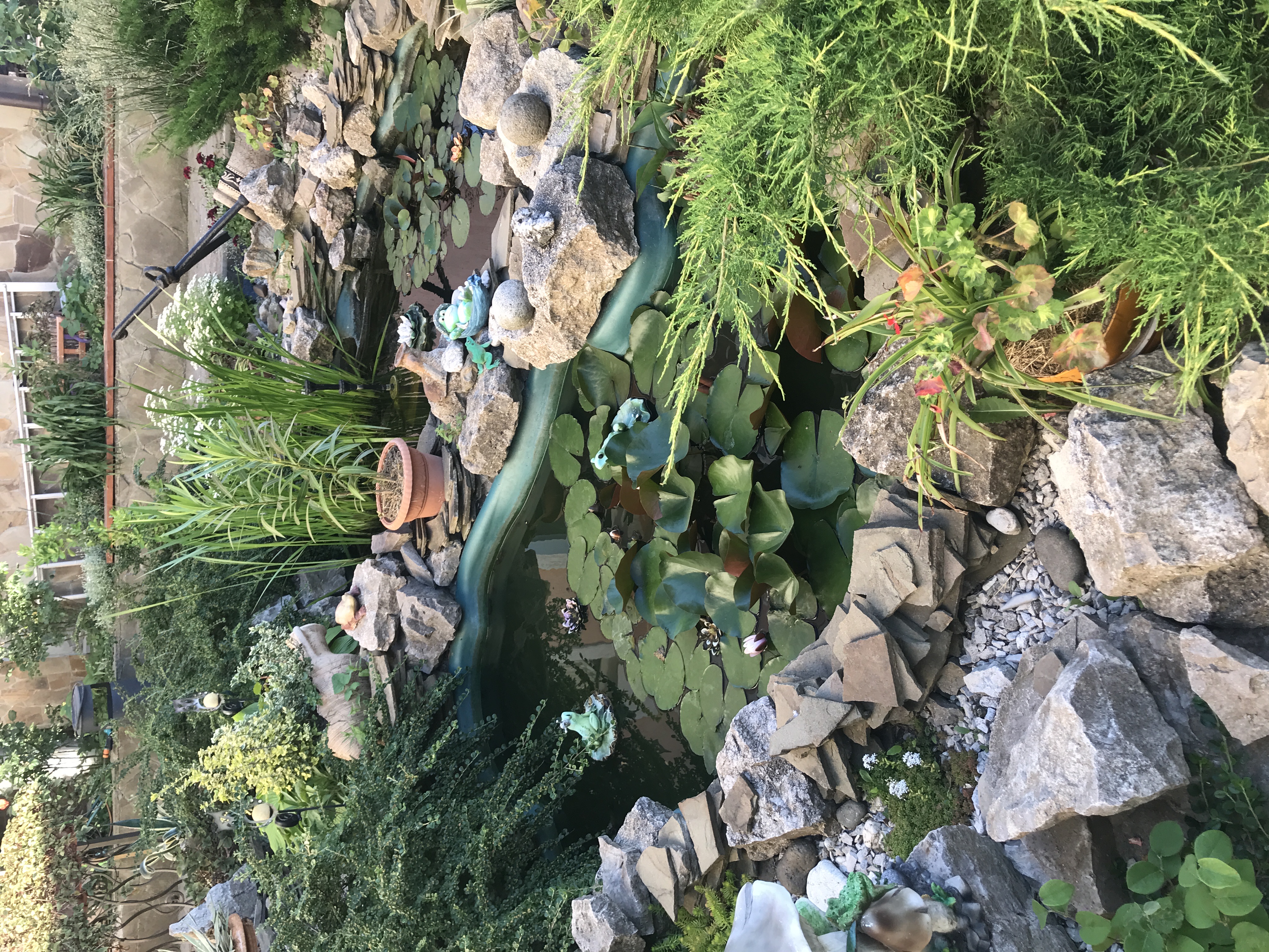 Фото Гриновские Берега