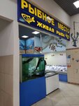 Rybnoye mesto (gorodskoy okrug Chelyabinsk, Tsentralniy District, ploshchad MOPRa, 8), fish and seafood