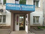 Zoomagazin Zhivoy ugolok (Truda Street, 57), pet shop