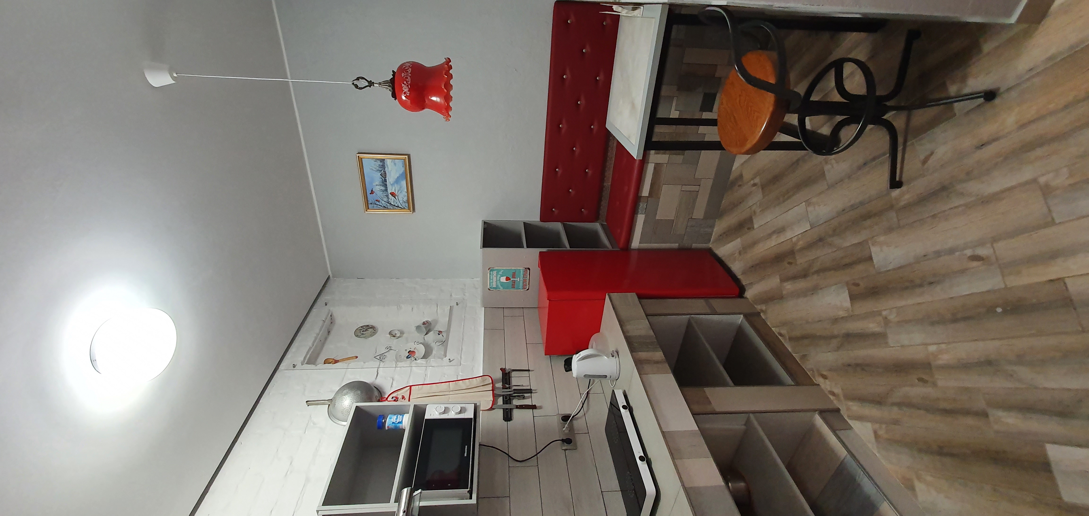 Фото Красный Подсолнух