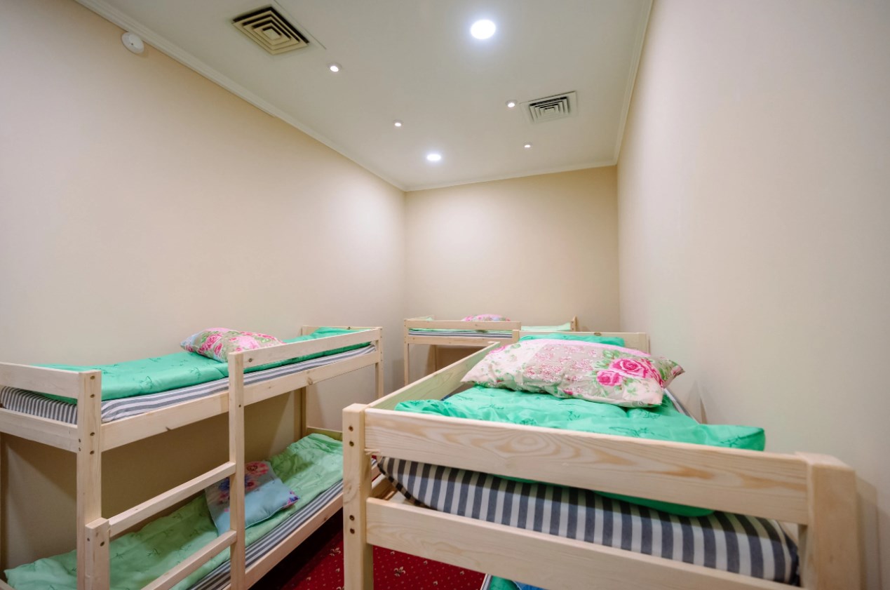 Фото Вежливый лось на Дмитровской