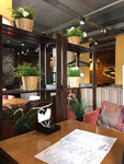 Терра (prospekt Kirova, 53), cafe