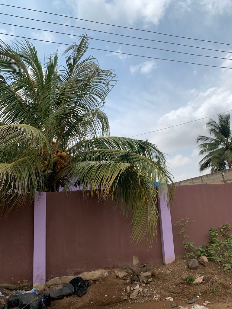 Construction and finishing works Asteric Construction Limited, Earth, photo