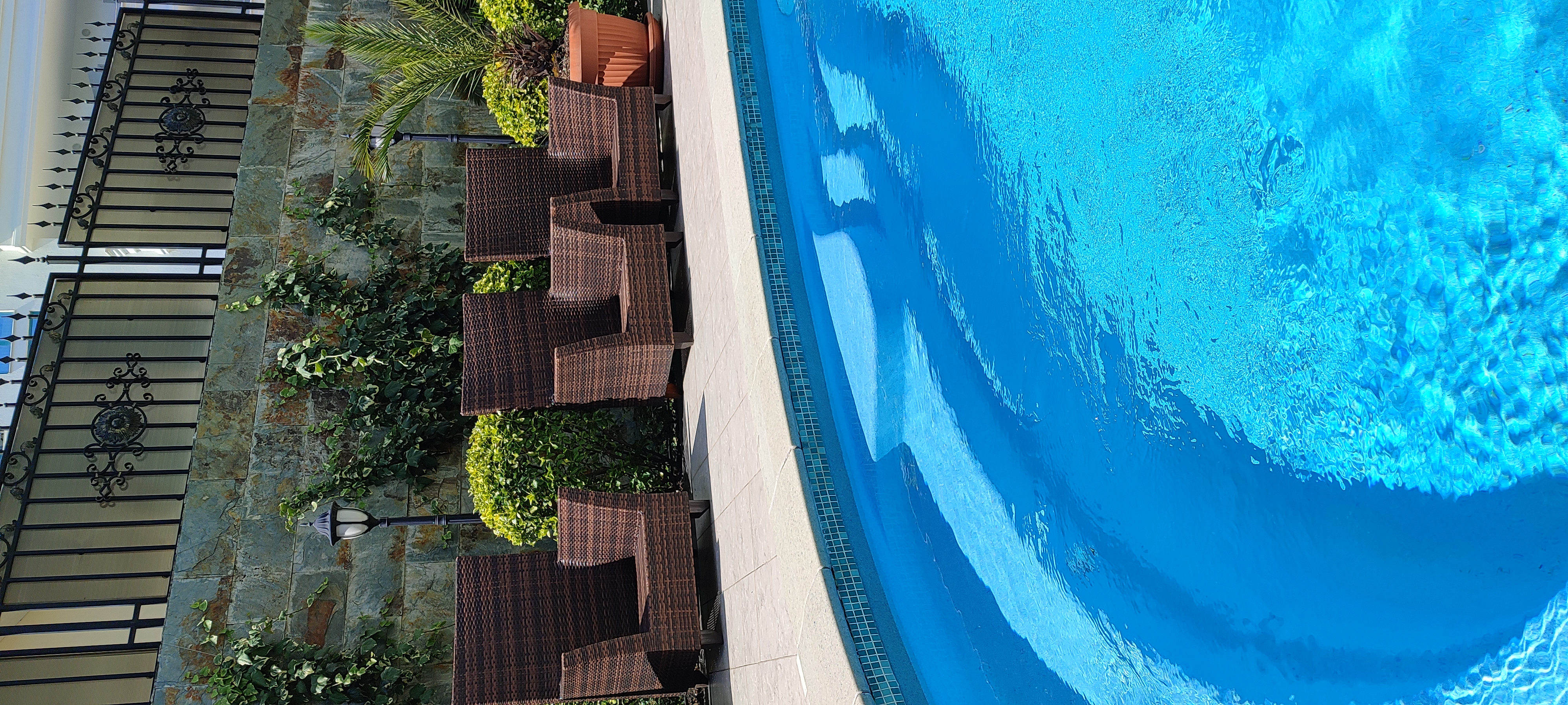 Фото Green House Detox & SPA