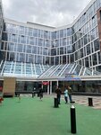 Морозовская ДГКБ, отделение ревматологии (4th Dobryninsky Lane, 1/9к1А), department of the hospital