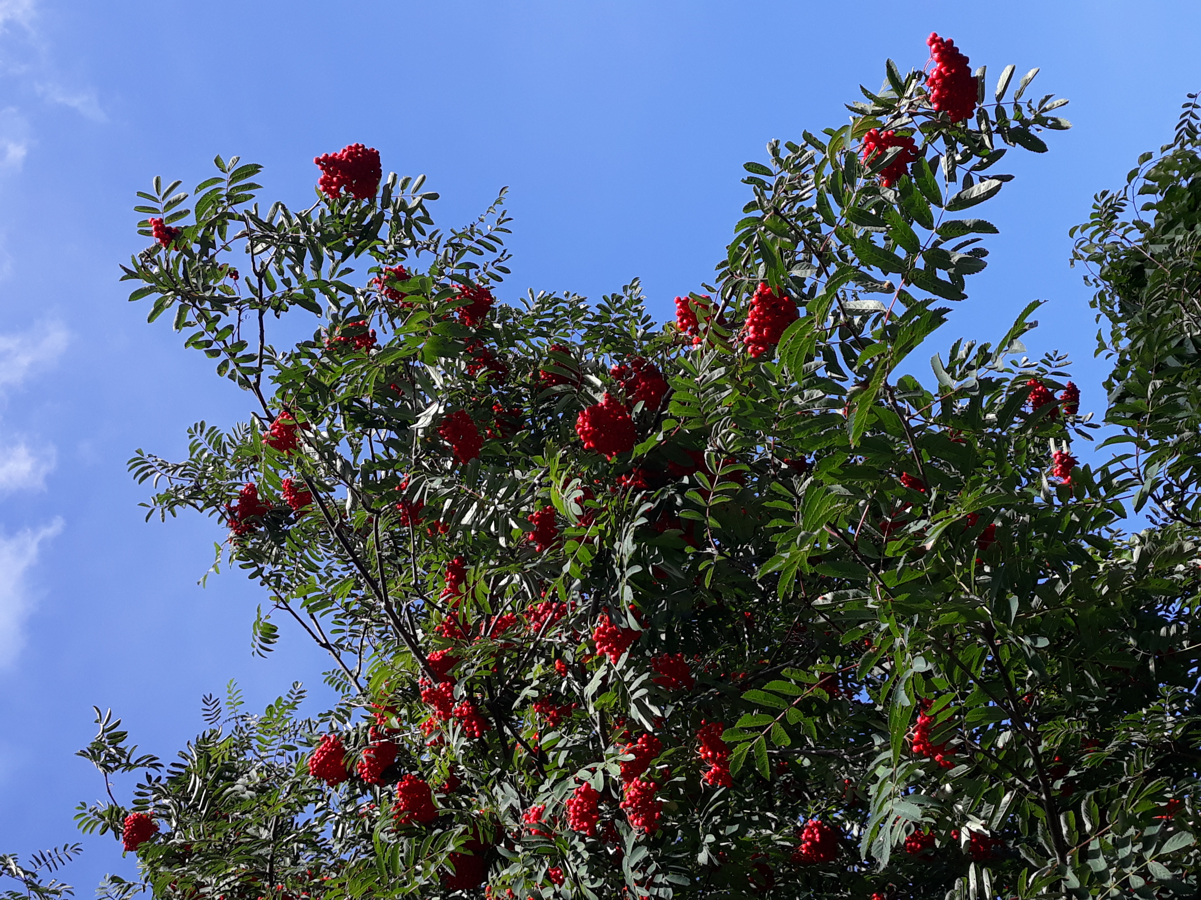 Фото Усадьба Заповедная