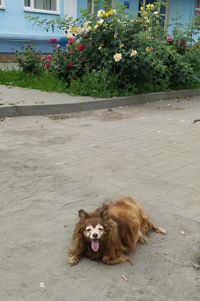 Veterinary clinic Veterinarnaya Laboratoriya, Shakhty, photo