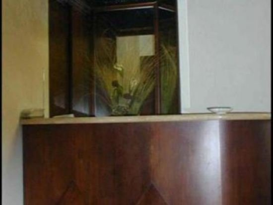 Фото Hotel Bonazzi