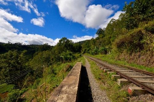 Фото Madhara Home Stay Ella