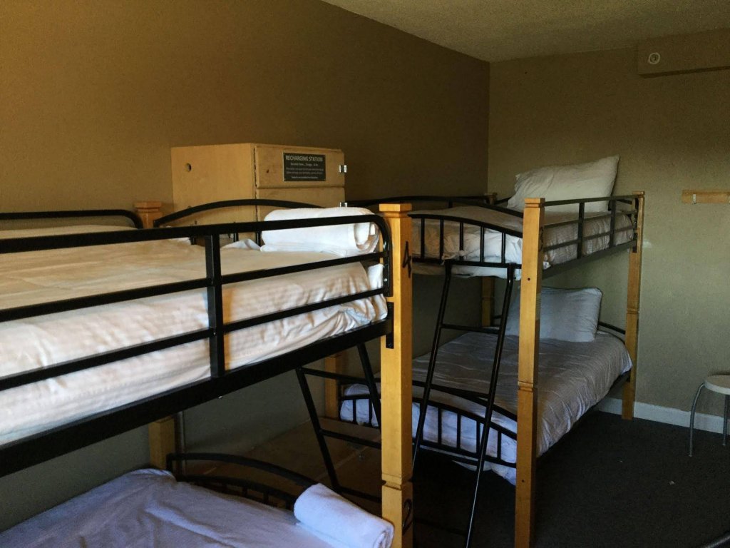 Фото Painted Turtle Guesthouse