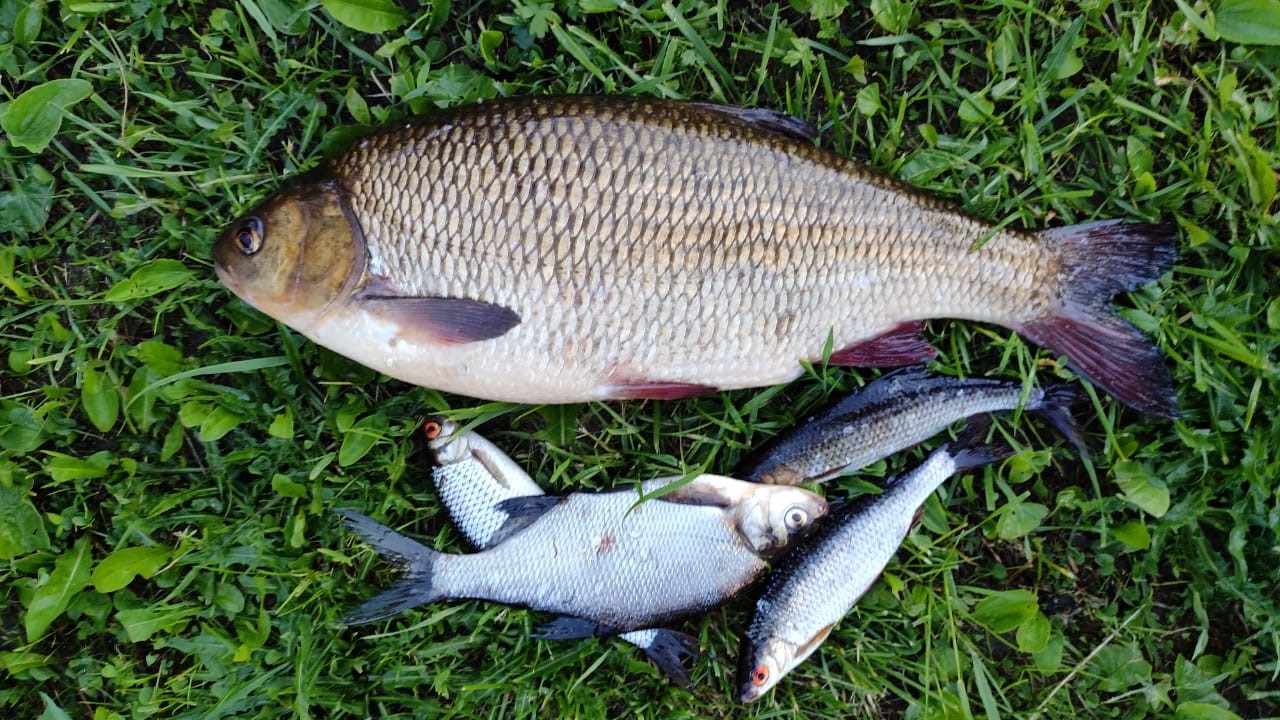 Фото Причал Надежды