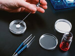 Microtech (Naryshkinskaya Alley, 5с2), equipment of laboratories