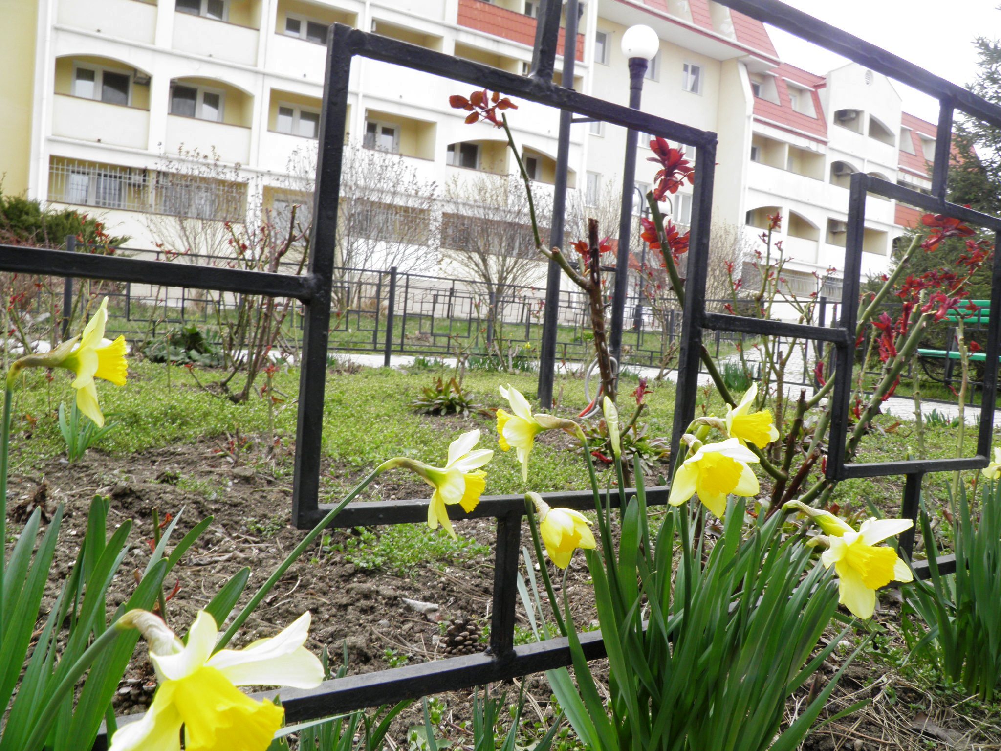 Фото Пансионат Феодосия