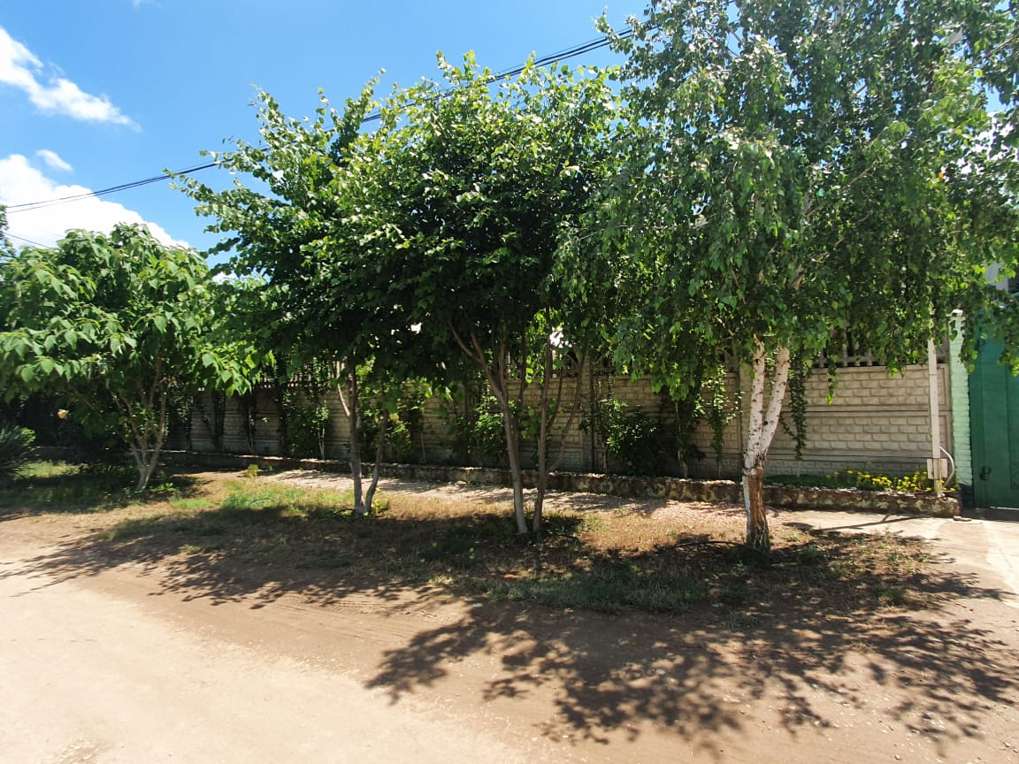 Фото Анастасия