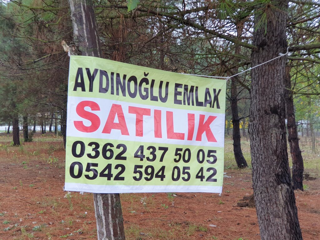 Real estate agency Aydinoglu Emlak, Samsun, photo