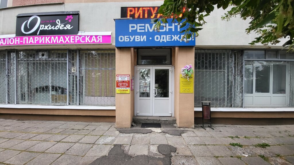 Дикая Орхидея, underwear and swimwear shop, Россия, Санкт-Петербург, Большой про