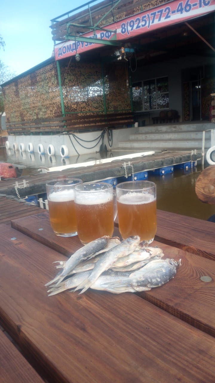 Фото Домдрузей.рф