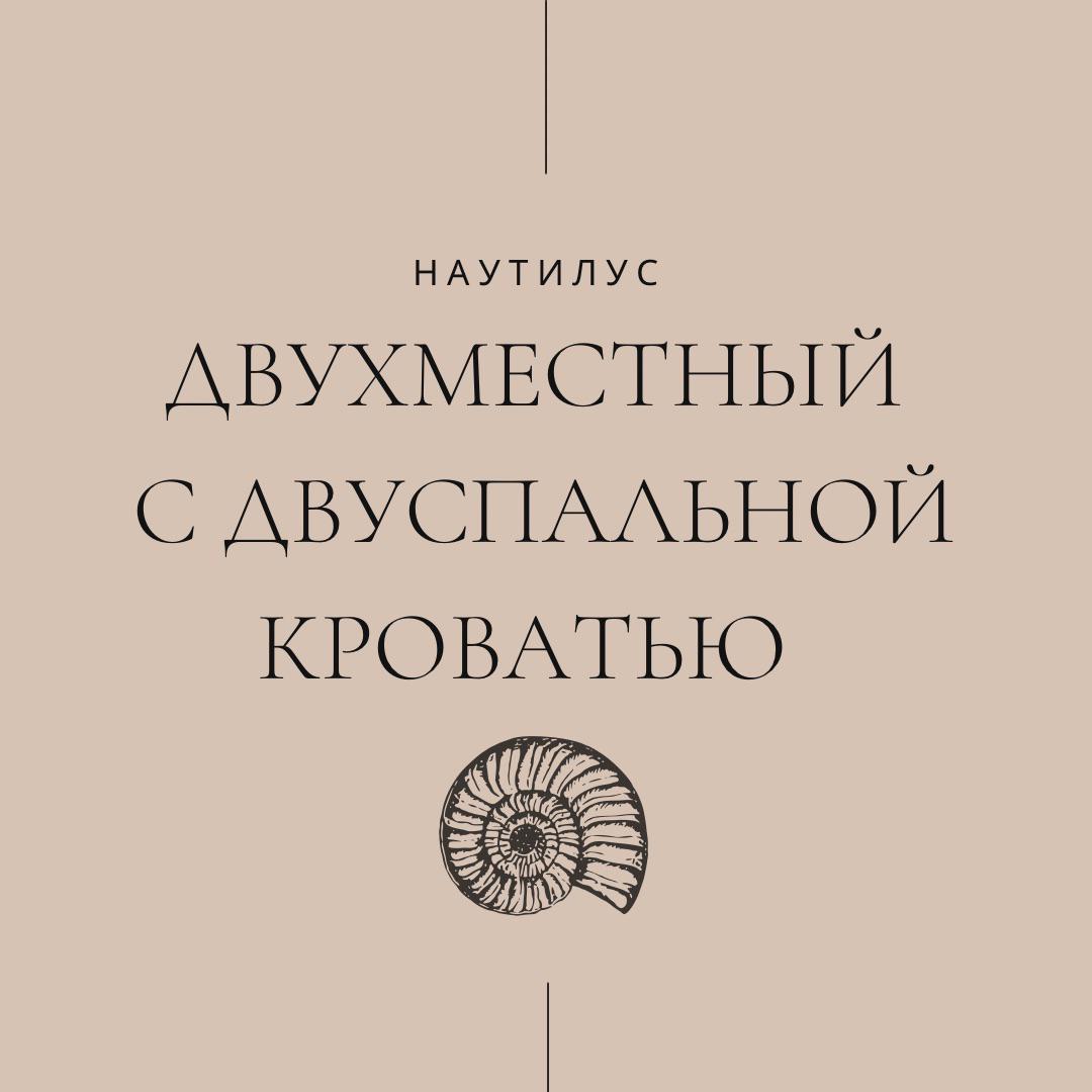 Фото Наутилус
