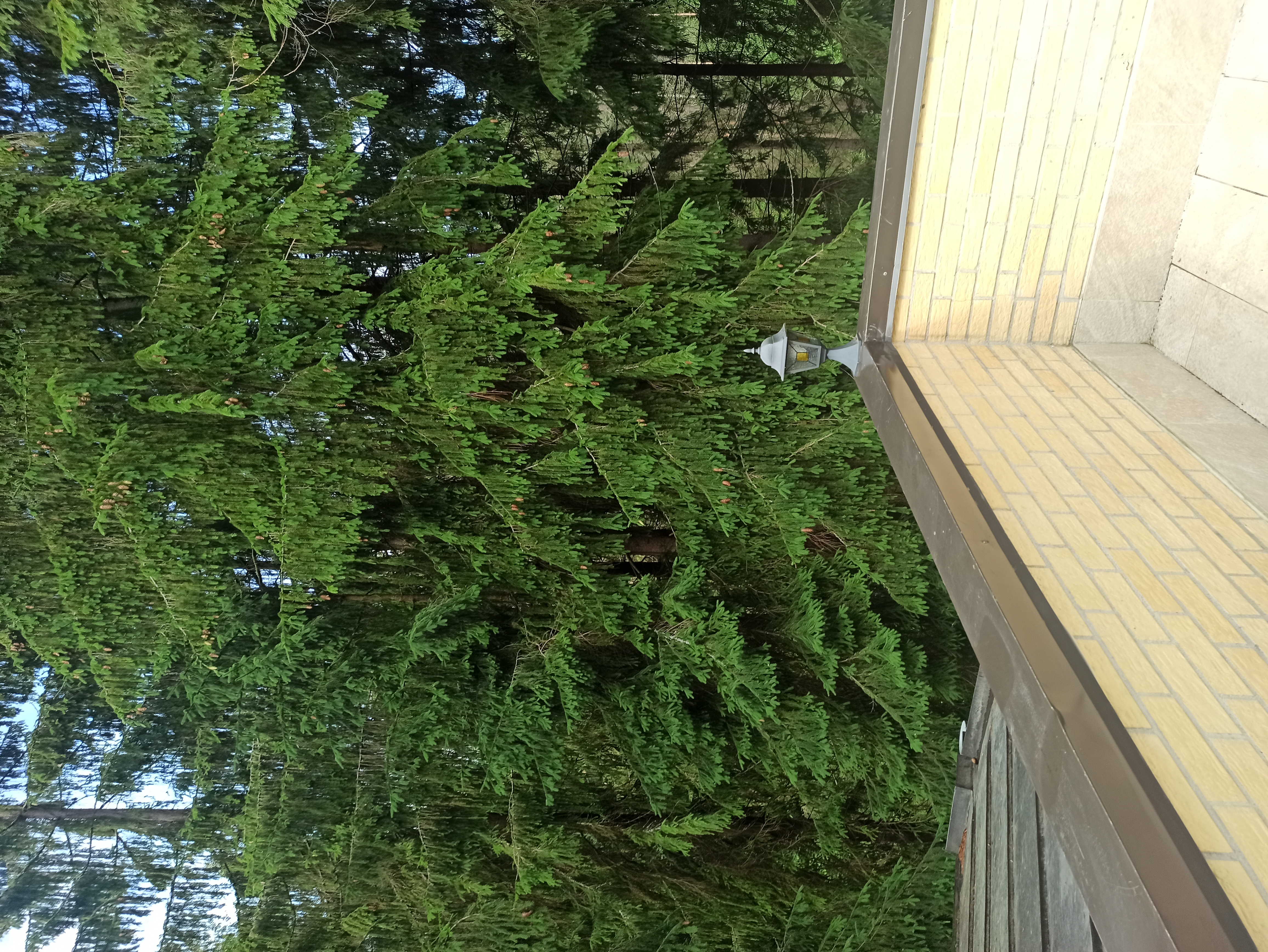 Фото Домик Охотника