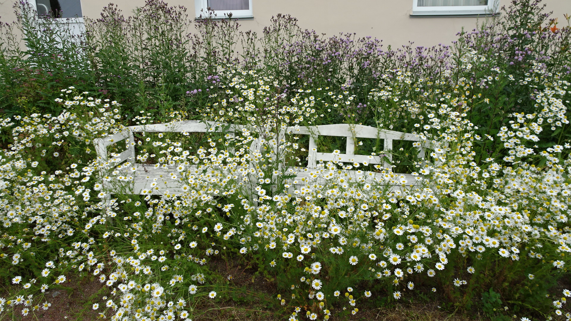 Фото Belveder Hotel&Spa