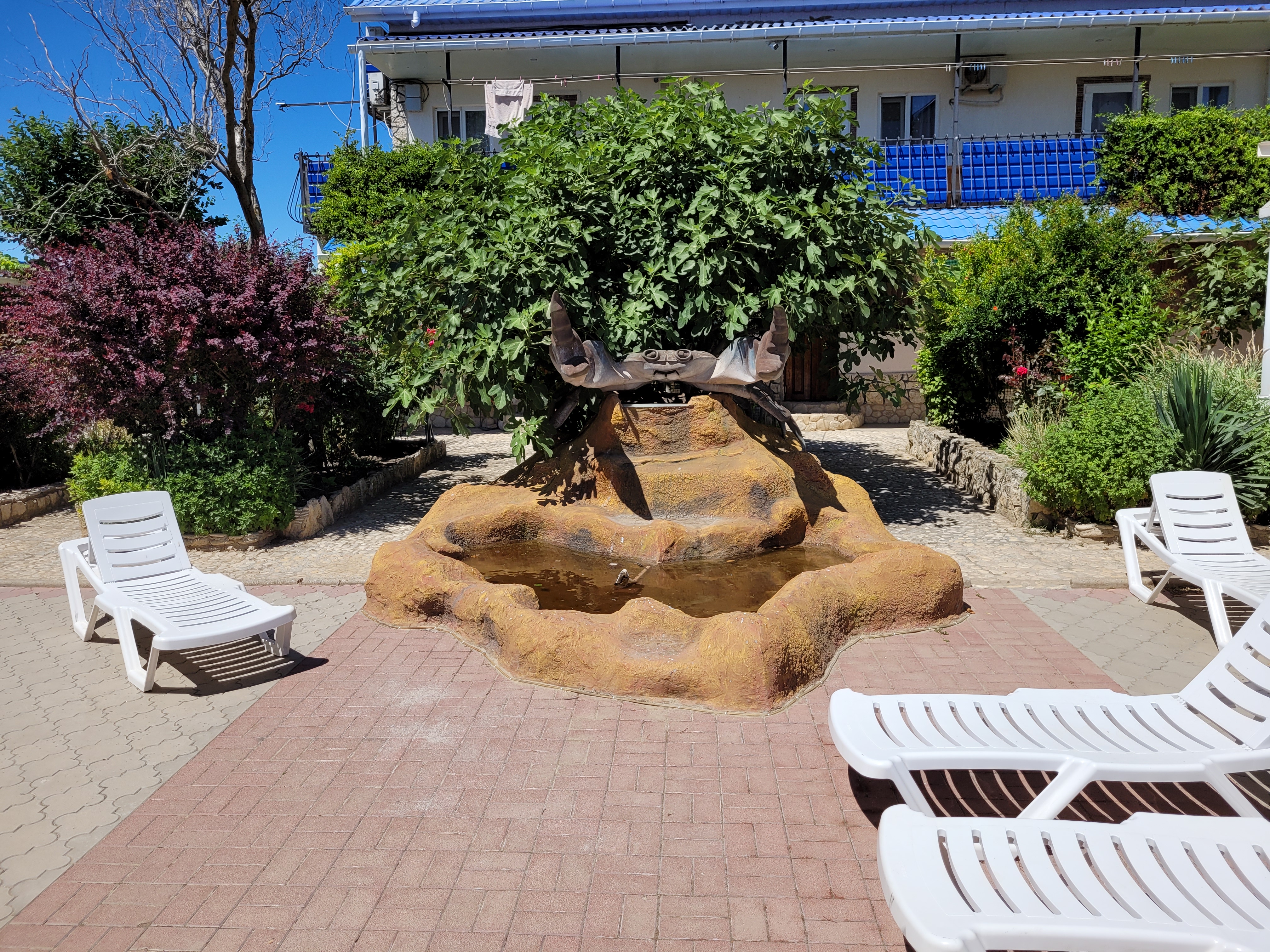 Фото Крабовая бухта