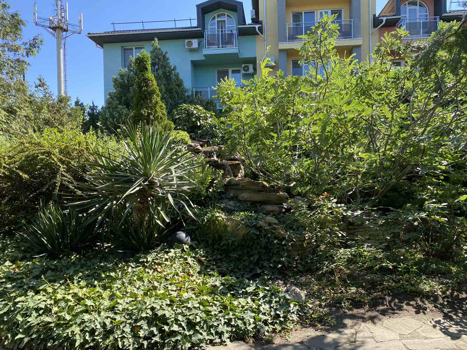 Фото Пансионат Анапа-Лазурная