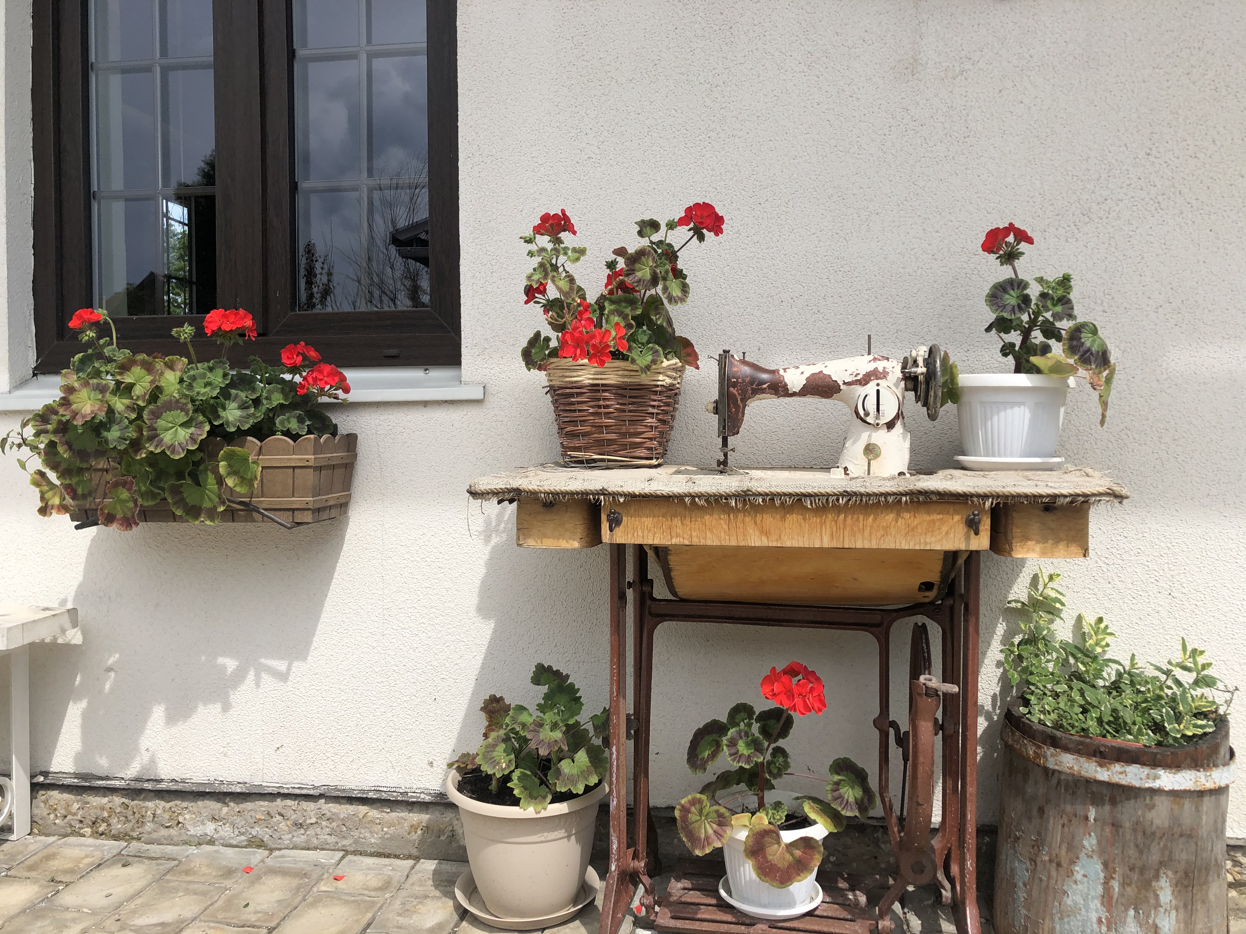 Фото Провинция