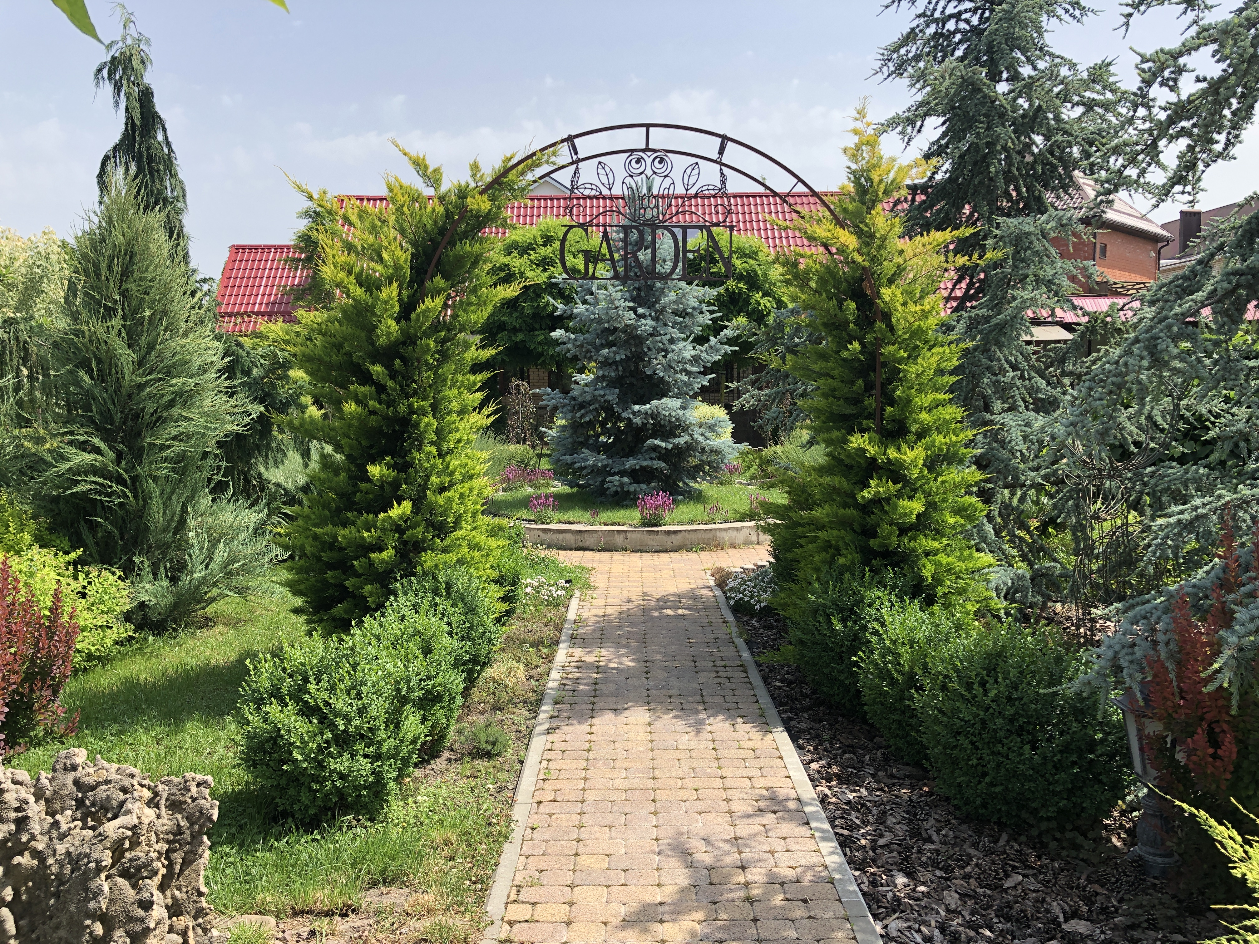 Фото Саксония